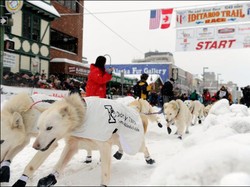 Iditarod, Balap Kereta Salju di Jalur Terpanjang Alaska