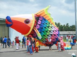 Ikan Raksasa di Natuna