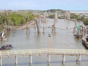 Indah Nggak Hutan Mangrove dari Kulon Progo Ini?