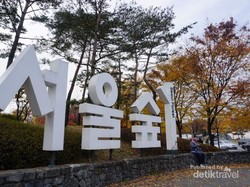 Indahnya Autumn di Seoul Forest, Korea Selatan
