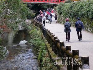 Indahnya Musim Gugur di Pinggiran Osaka