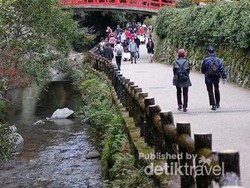 Indahnya Musim Gugur di Pinggiran Osaka