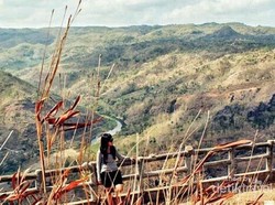 Indahnya Pemandangan Sungai Oya dari Kebun Buah Mangunan