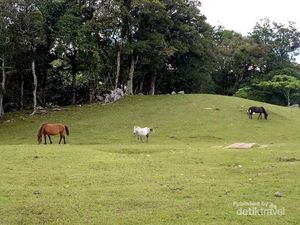 Indonesia Harus Bangga dengan Timor Tengah Selatan