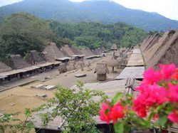 Ini Desa Cantik di NTT