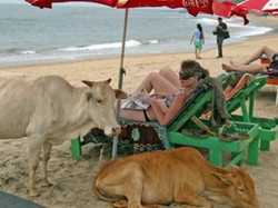 Ini Dia 5 Pantai Paling Nggak Banget di Dunia