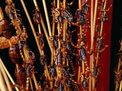 Ini Dia 6 Negara dengan Wisata Kuliner Ekstrem