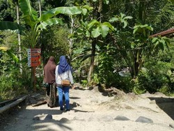 Ini Dia Air Terjun Tersembunyi di Sumatera Barat