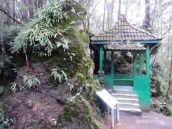 Ini Dia Gua Tempat Soeharto Bertapa di Telaga Warna