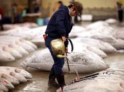 Ini Dia Pasar Ikan Terbesar di Dunia