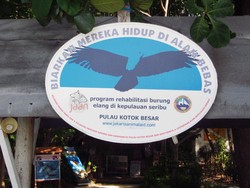 Ini Dia Si Ganteng Maskot Jakarta