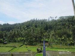 Ini Dia Tempat Rafting Para Penantang Adrenalin di Bali