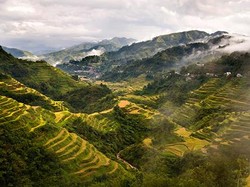 Ini Dia Teras Sawah Tertua di Dunia
