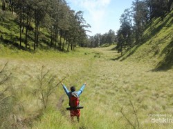 Ini Jalur Beda Mendaki Gunung Lawu yang Mistis