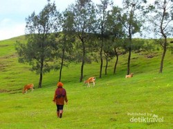 Ini Lho Keindahan TTS yang Wajib Kamu Tahu