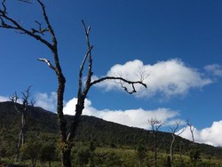 Ini penampakan Sulsel dari Atas Awan