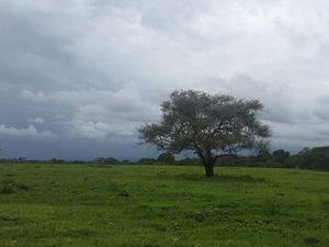 Ini Protokol Baru Berkunjung ke Taman Nasional Baluran