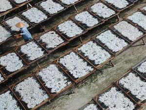 Ini Pulau Pasaran, Tampak Kumuh Tapi Inilah Pusat Ikan Teri Indonesia