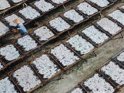 Ini Pulau Pasaran, Tampak Kumuh Tapi Inilah Pusat Ikan Teri Indonesia