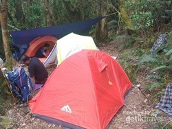 Ini Rasanya Bermalam di Kandang Badak