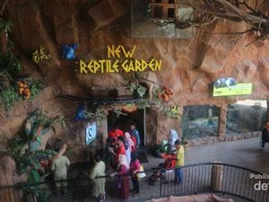 Ini Rumah Komodo & Reptil Lainnya di Jawa Timur