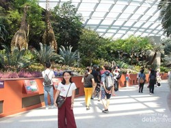 Ini Taman Kaca Terindah di Singapura