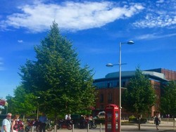 Ini Tempat Kelahiran Sang Pujangga, William Shakespeare