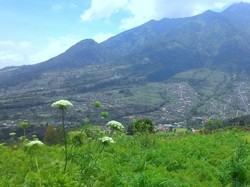 Ini Tempat Populer di Boyolali, Bukit Gancik