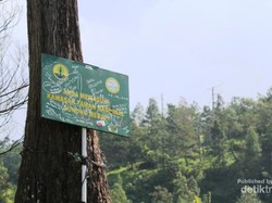 Ini Tempat Terbaik Melihat Puncak Merapi di Yogyakarta