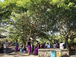 Ini Tempat Terbaik untuk Melihat Tari Kecak di Bali