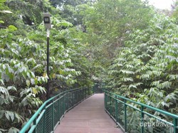 Ini Tempat yang Sejuk dan Penuh Kesegaran di Bandung