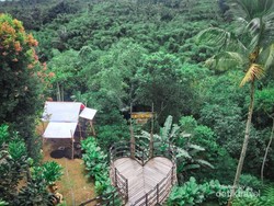 Ini Tempatnya Pecinta Kopi di Bali