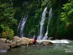 Ini yang Namanya Curup Maung