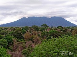Inilah Afrika Ala Jawa