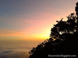 Inilah Hadiah Bagi Pendaki Gunung Pangrango