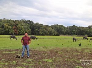 Inilah Pulau di Ujung Selatan Indonesia