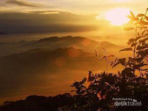 Inilah Sunrise Terbaik dari Puncak Gunung Cikuray Garut