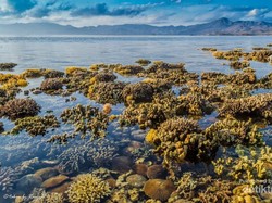 Ironi Dibalik Cantiknya Pantai di Bima, Sumbawa
