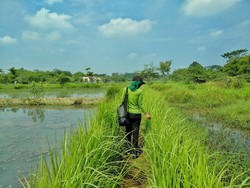 Jacuzzi Alami Gunung Peyek yang Kini Tinggal Kenangan