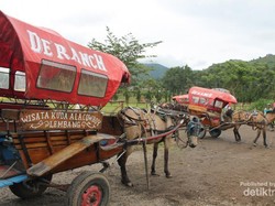Jadi Coboy di DeRanch Lembang, Bandung