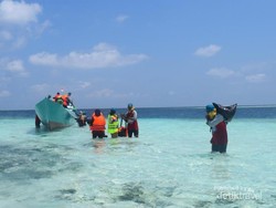 Jadi Relawan di Pulau Terindah dari Indonesia