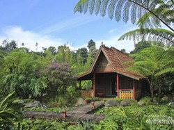 Jadul Village, Penginapan Rasa Jawa di Tanah Pasundan