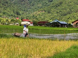 Jakarta Punya Kemang, Bukittinggi Punya Kamang