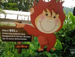 Jalan-jalan ke Kebun Binatang Singapura, Seru Juga!