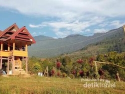 Jalan Panjang Menaklukkan Rantemario, Gunung Tertinggi di Sulawesi