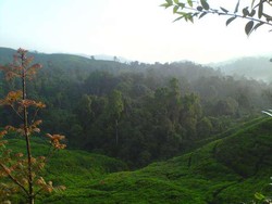 Jalur Pendakian Gunung Salak Ditutup Sementara
