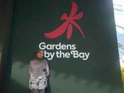 Jangan Cuma Belanja di Singapura, Coba Gardens by the Bay