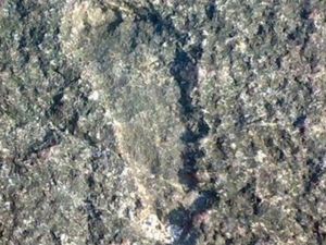 Jangan Kaget, Ada Tapak Kaki Hantu di Bangka Tengah