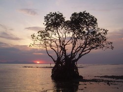 Jangan Tunda Liburan ke Pulau Tunda, Banten