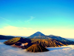 Jatuh Cinta di Bumi Tengger